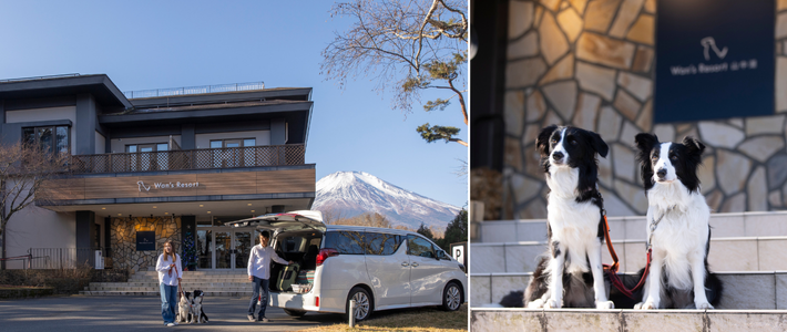 動物,犬,猫,しつけ,飼い方,育て方,病気,健康