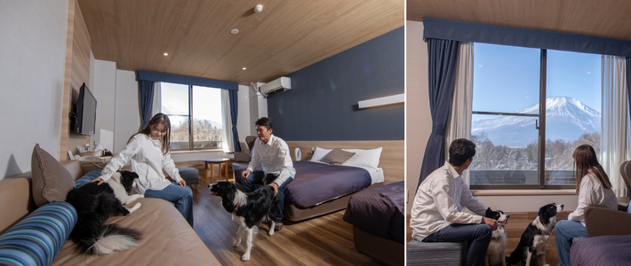 動物,犬,猫,しつけ,飼い方,育て方,病気,健康