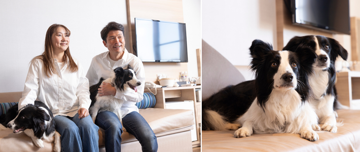 動物,犬,猫,しつけ,飼い方,育て方,病気,健康