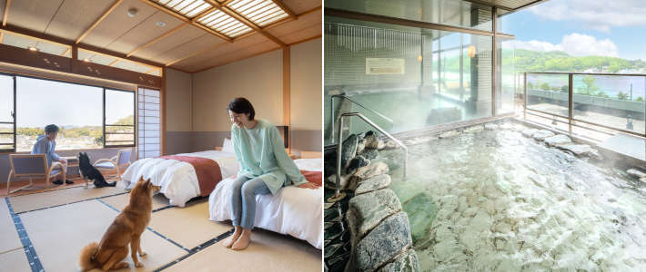 動物,犬,猫,しつけ,飼い方,育て方,病気,健康