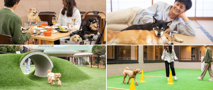 動物,犬,猫,しつけ,飼い方,育て方,病気,健康