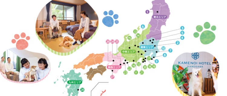 動物,犬,猫,しつけ,飼い方,育て方,病気,健康