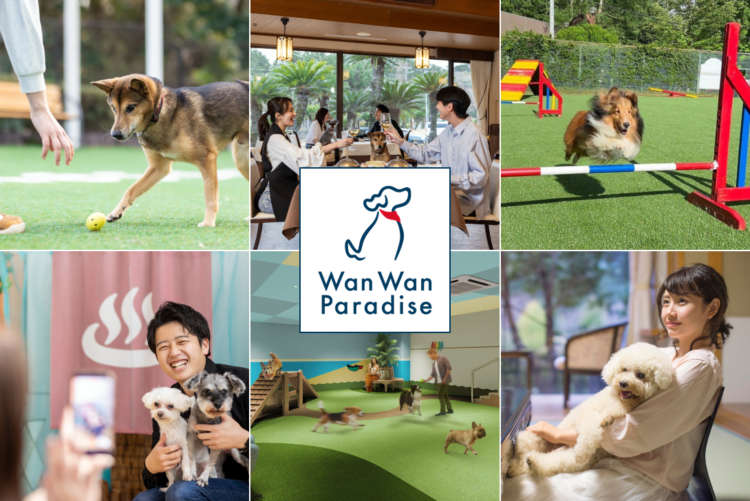 旅先でも、ずっと一緒に。愛犬ファーストな宿「わんわんパラダイス」が進化