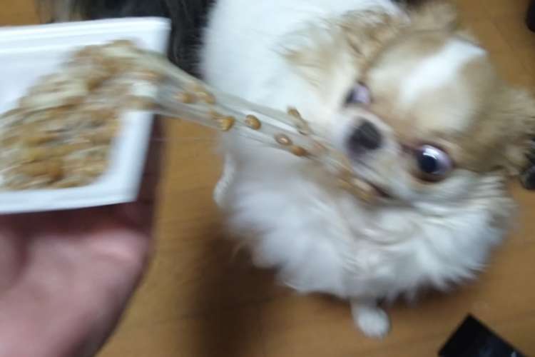 ギャーーーッ！！！！