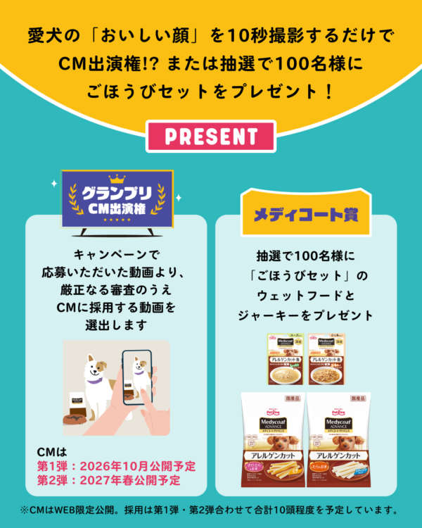 動物,犬,猫,しつけ,飼い方,育て方,病気,健康