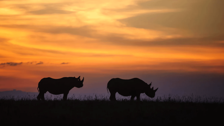 Pondoro Game Lodge