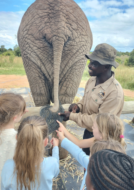 The Rory Hensman Conservation & Research Unit