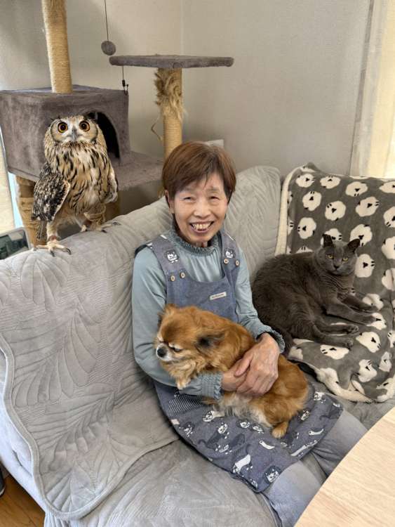 動物,犬,猫,しつけ,飼い方,育て方,病気,健康