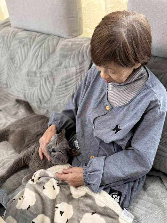 動物,犬,猫,しつけ,飼い方,育て方,病気,健康