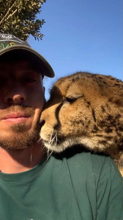 動物,犬,猫,しつけ,飼い方,育て方,病気,健康