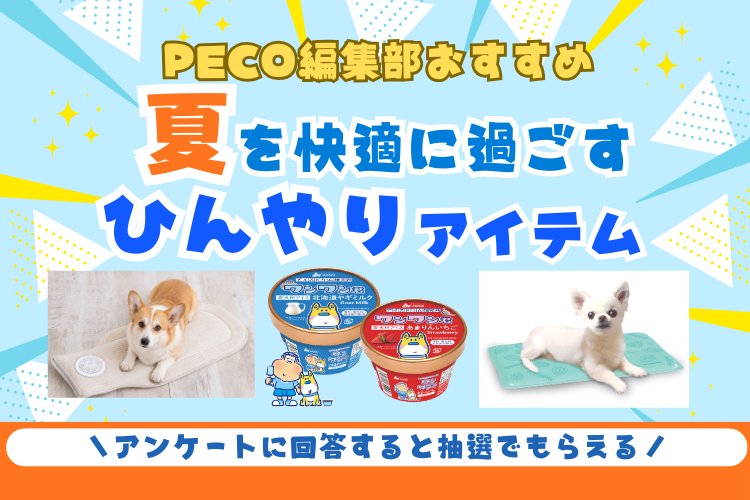 カート移動やお散歩がもっと快適に!愛犬・愛猫を夏の暑さから守る「ひんやりアイテム」3選!