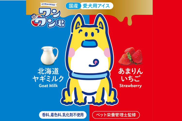 動物,犬,猫,しつけ,飼い方,育て方,病気,健康
