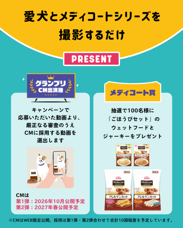 動物,犬,猫,しつけ,飼い方,育て方,病気,健康