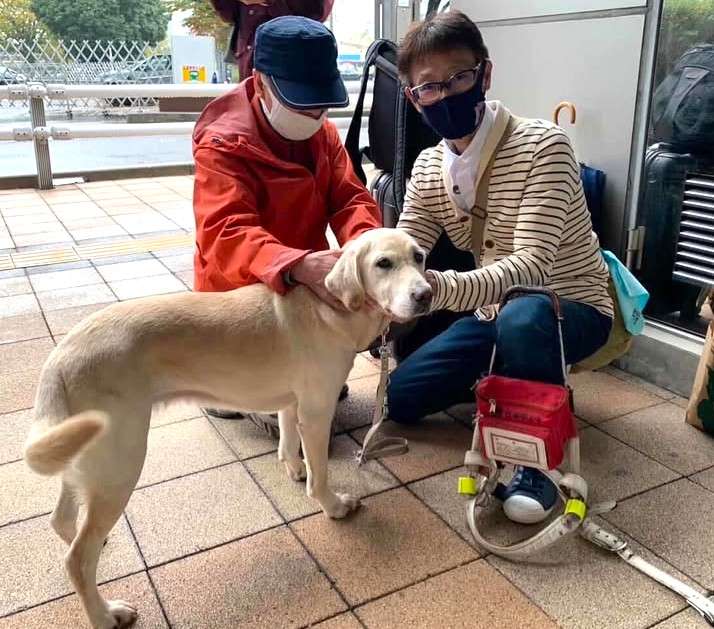 動物,犬,猫,しつけ,飼い方,育て方,病気,健康