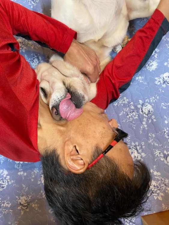 動物,犬,猫,しつけ,飼い方,育て方,病気,健康