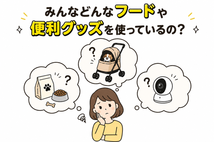 動物,犬,猫,しつけ,飼い方,育て方,病気,健康