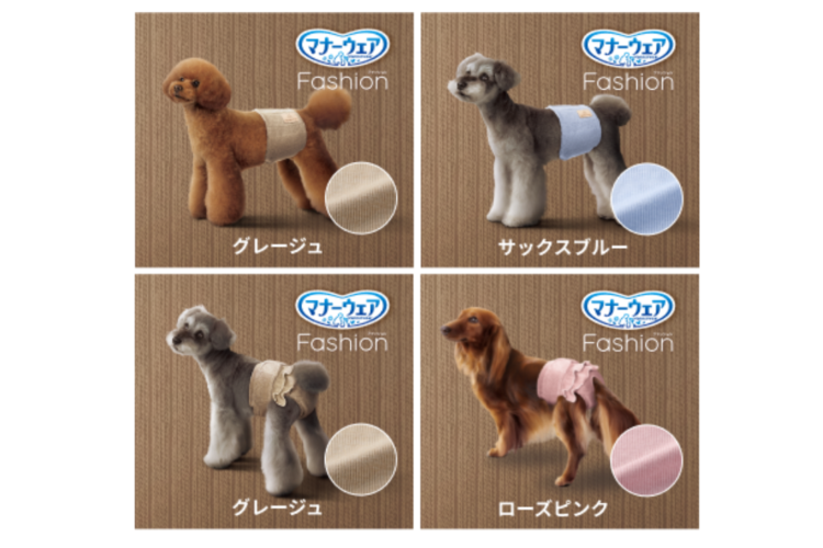 動物,犬,猫,しつけ,飼い方,育て方,病気,健康