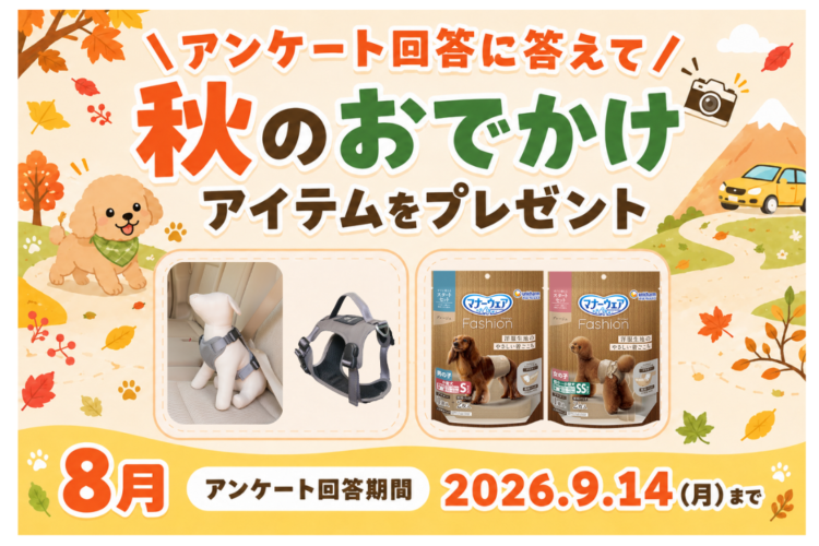 【プレゼント企画】愛犬と秋はどこへ行く?「秋のおでかけ」アンケート実施中!
