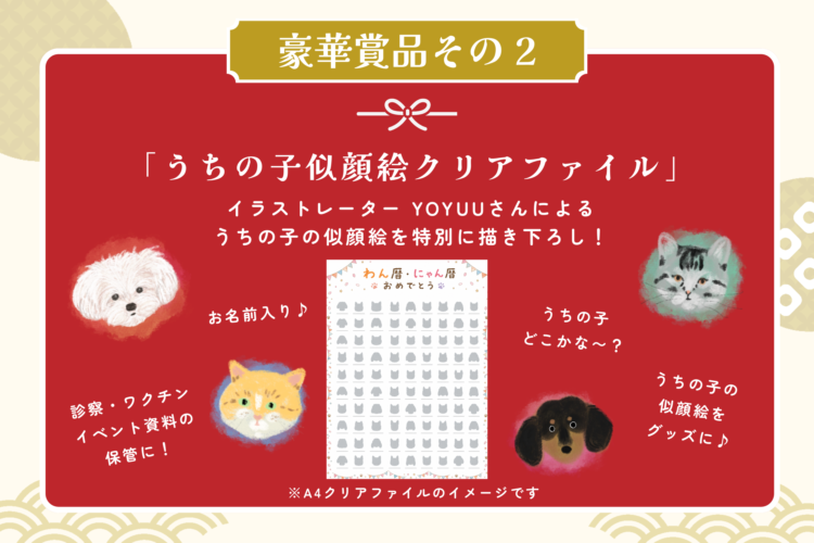 動物,犬,猫,しつけ,飼い方,育て方,病気,健康