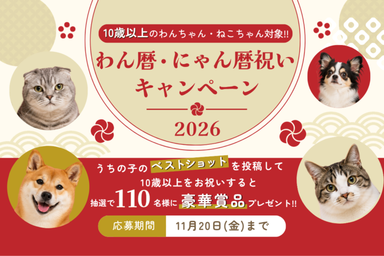 1枚投稿するだけで応募できる！ わん暦・にゃん暦 祝いキャンペーン 2026