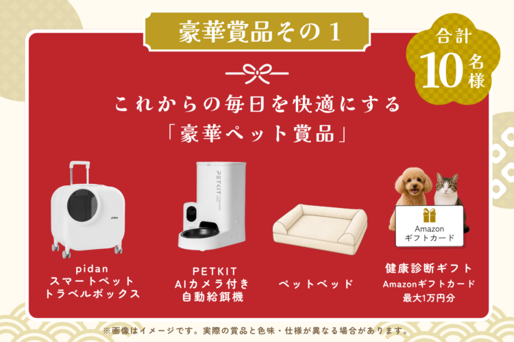 動物,犬,猫,しつけ,飼い方,育て方,病気,健康