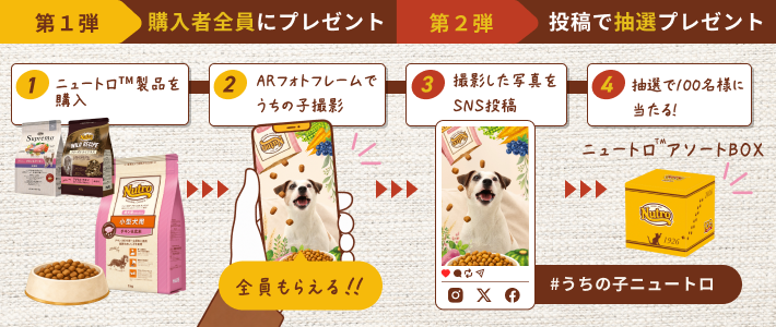 動物,犬,猫,しつけ,飼い方,育て方,病気,健康