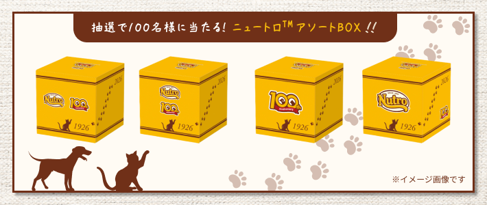 動物,犬,猫,しつけ,飼い方,育て方,病気,健康