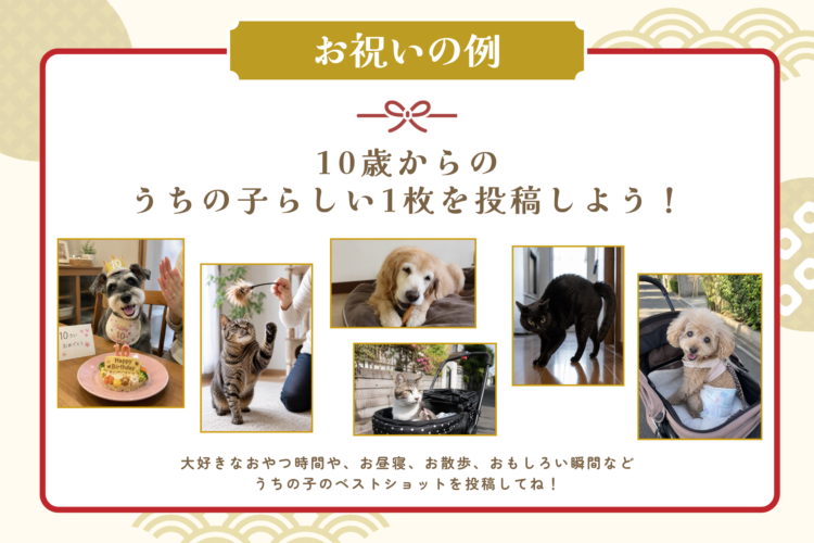 動物,犬,猫,しつけ,飼い方,育て方,病気,健康
